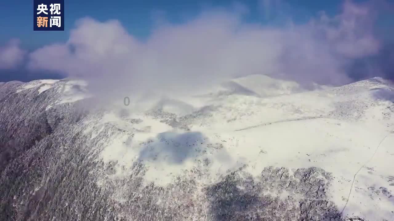 救援小棕兔